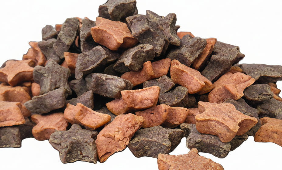 Blueberry Cranberry Crunchy Dog Treats | Made in USA